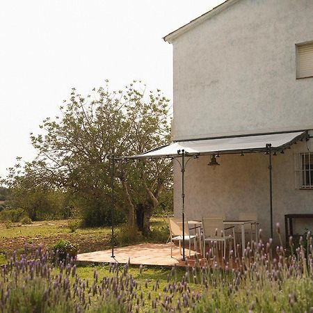 Masia Bartomeu Rural House Between Vineyards 2Km From The Beach El Vendrell Exteriör bild