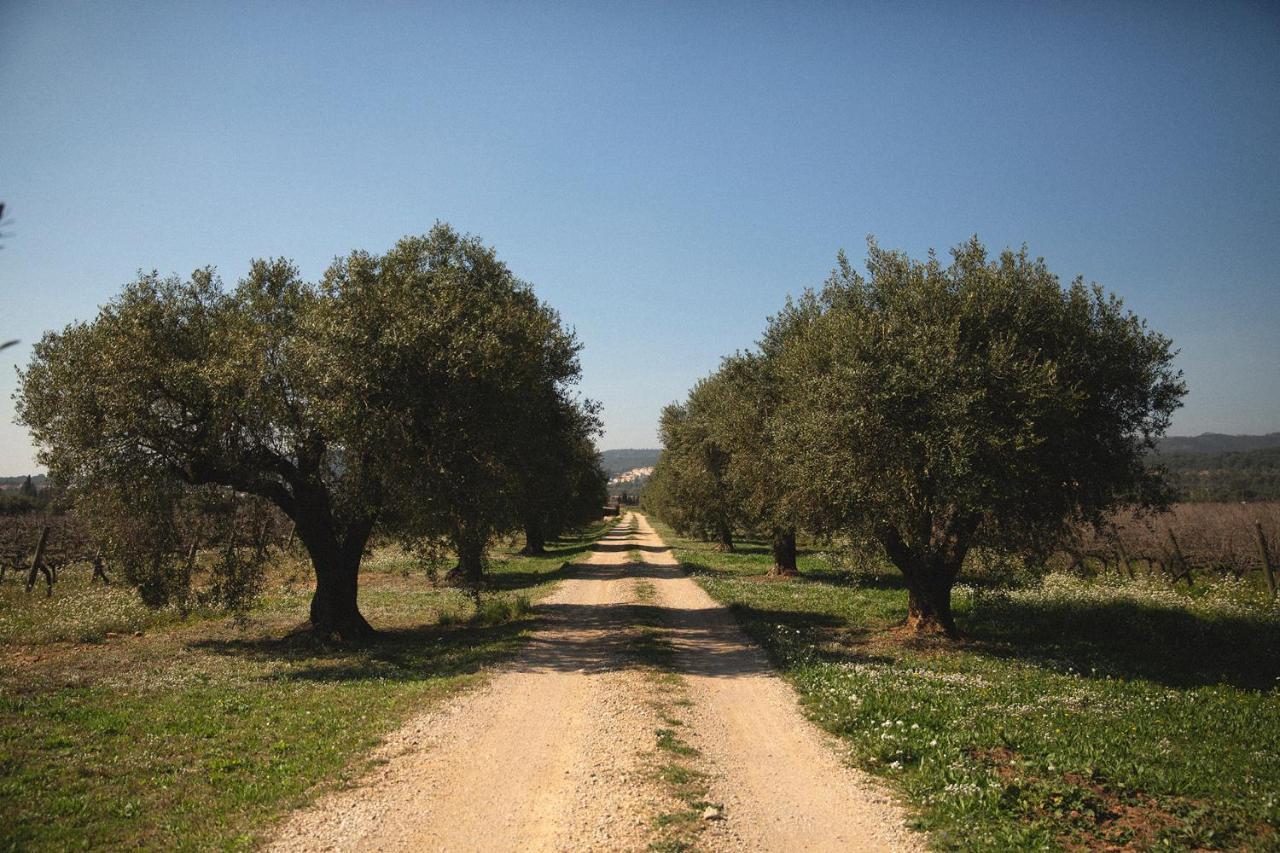 Masia Bartomeu Rural House Between Vineyards 2Km From The Beach El Vendrell Exteriör bild