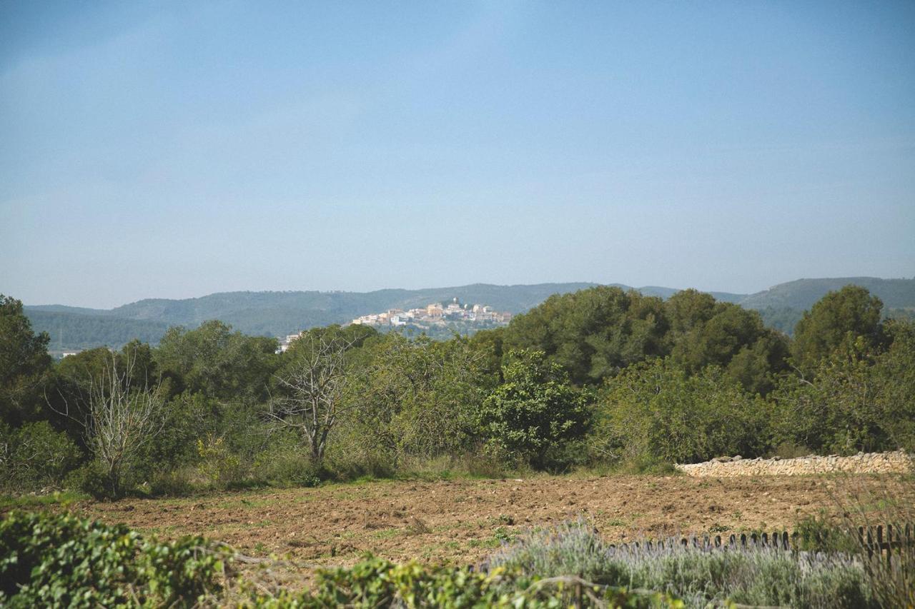 Masia Bartomeu Rural House Between Vineyards 2Km From The Beach El Vendrell Exteriör bild