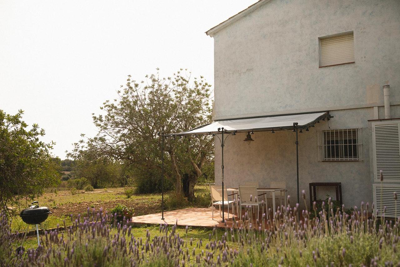 Masia Bartomeu Rural House Between Vineyards 2Km From The Beach El Vendrell Exteriör bild