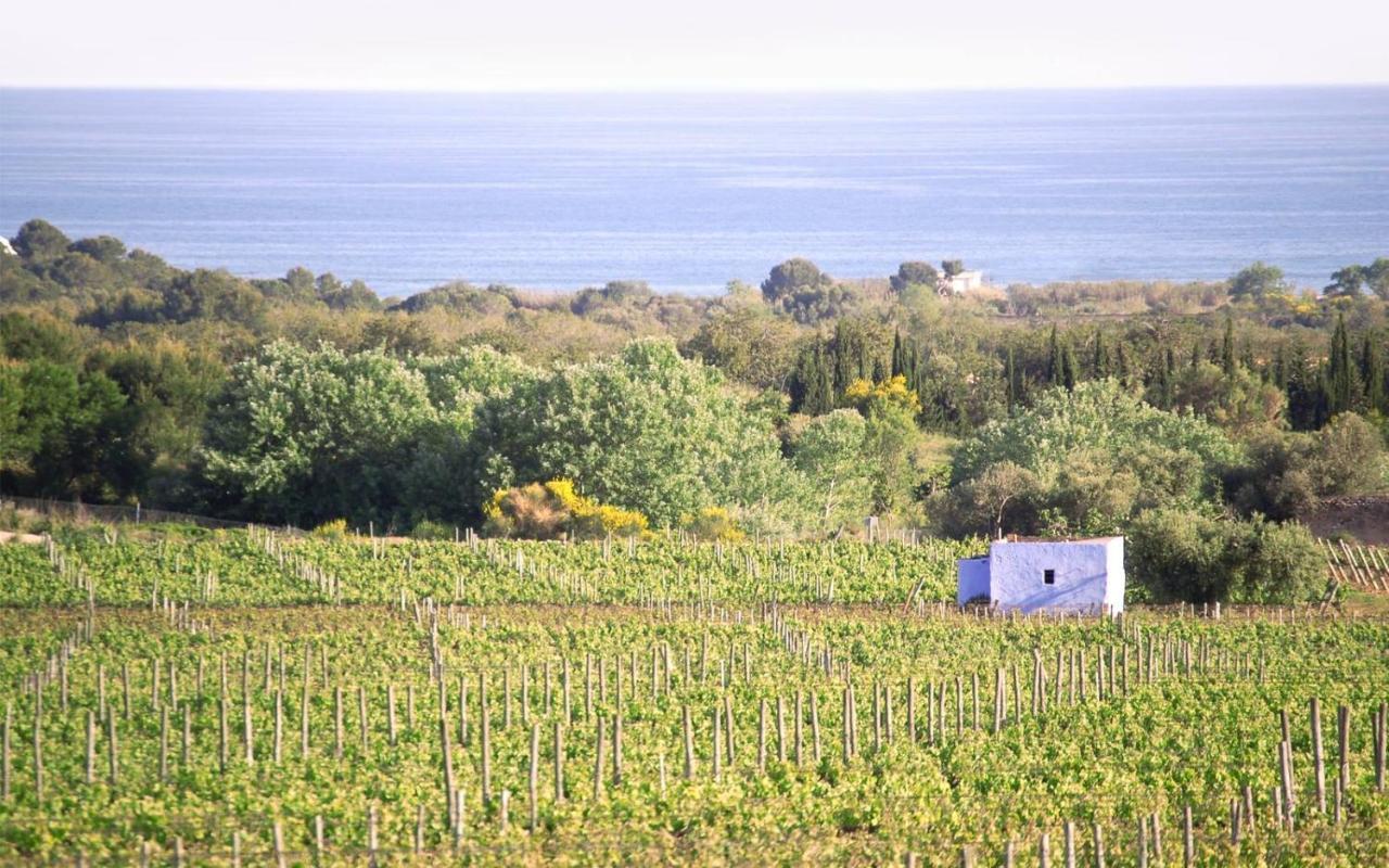 Masia Bartomeu Rural House Between Vineyards 2Km From The Beach El Vendrell Exteriör bild